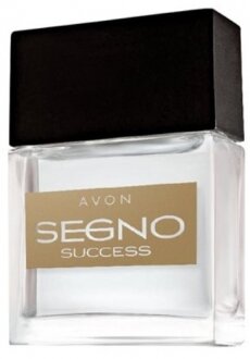 Avon Segno Success EDP 30 ml Erkek Parfümü kullananlar yorumlar